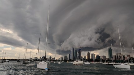 31ed2-chicago2bstorm
